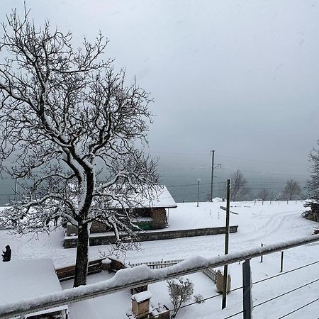 Lake View Residence Niederried bei Interlaken 외부 사진