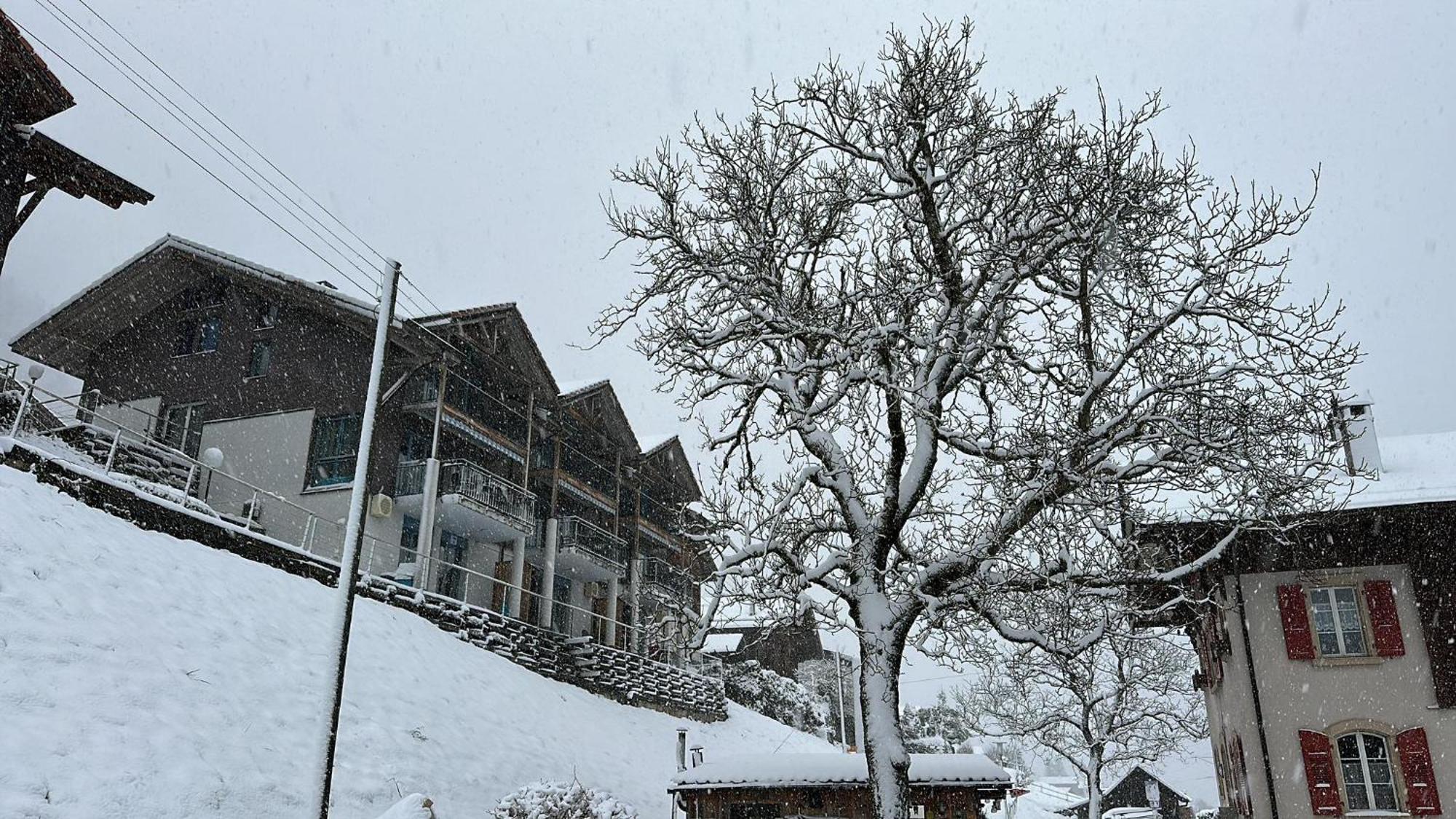Lake View Residence Niederried bei Interlaken 외부 사진