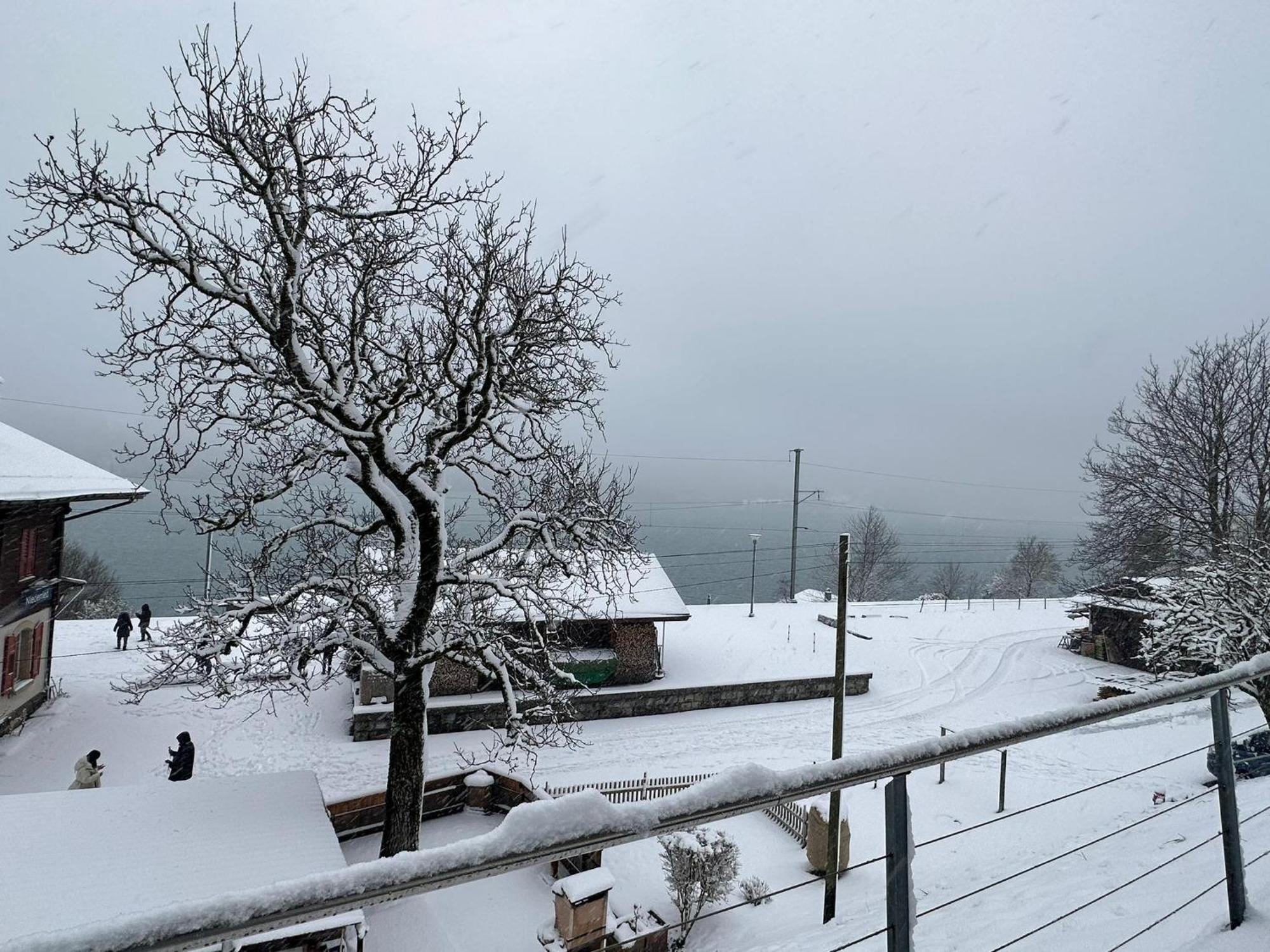 Lake View Residence Niederried bei Interlaken 외부 사진