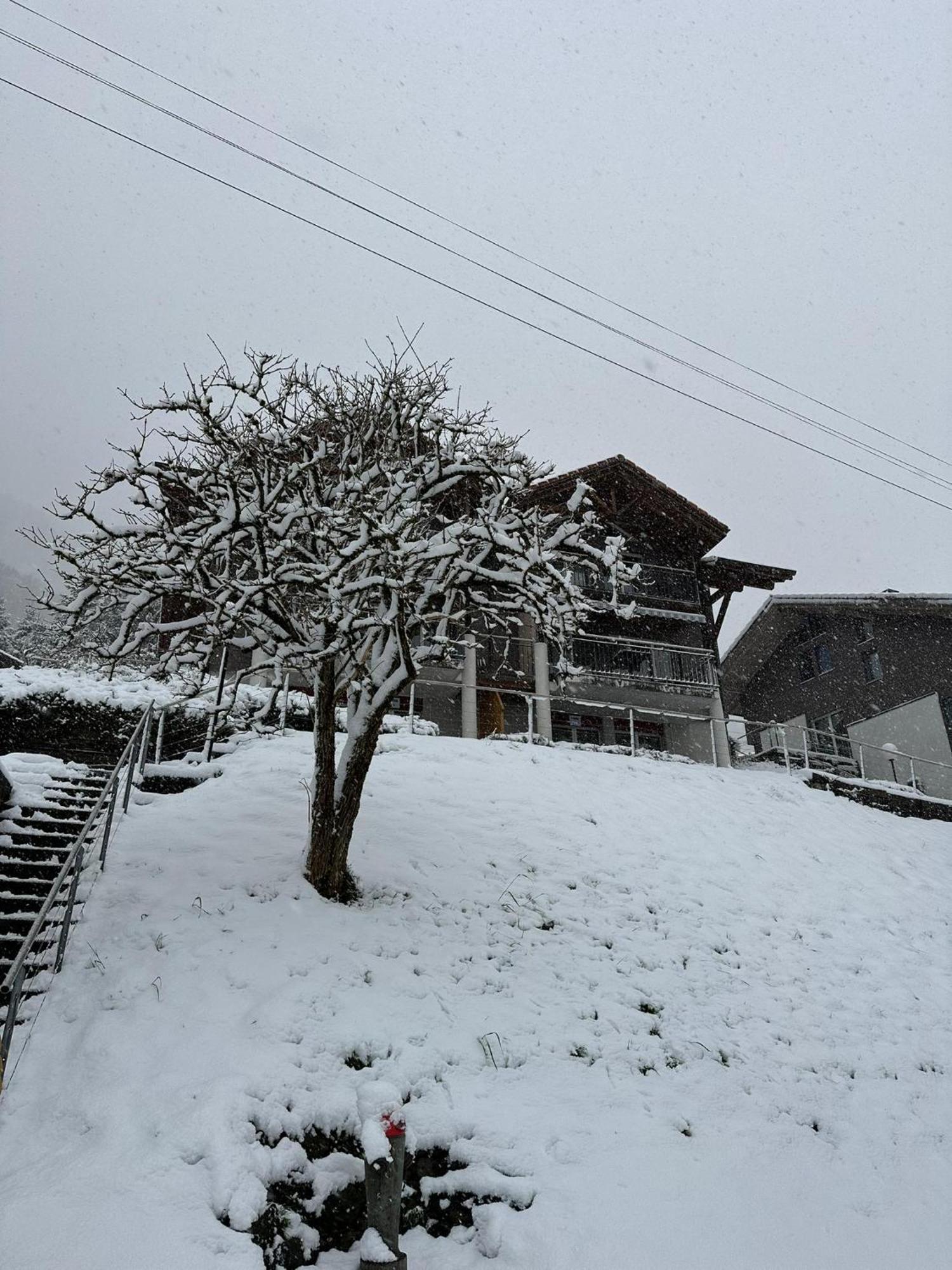 Lake View Residence Niederried bei Interlaken 외부 사진